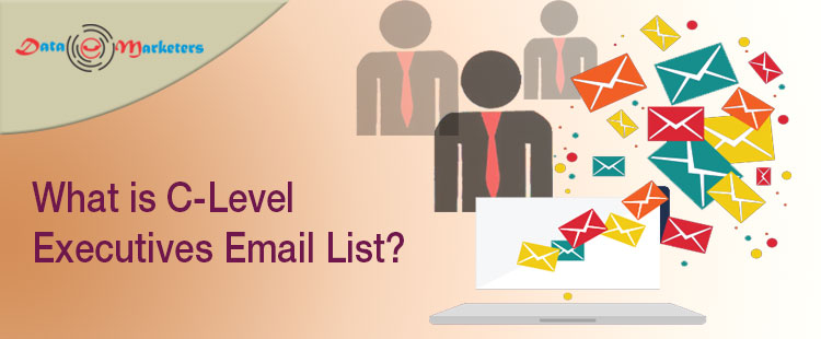 What is C-Level Executives Email List | Data Marketers Group