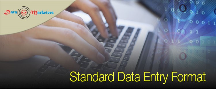 Standard Data Entry Format | Data Marketers Group