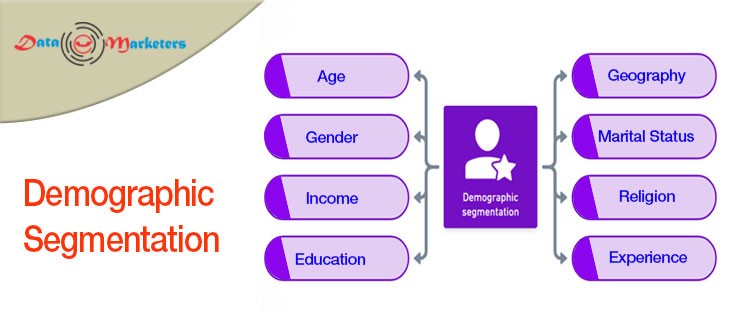 Demographic Segmentation | Data Marketers Group