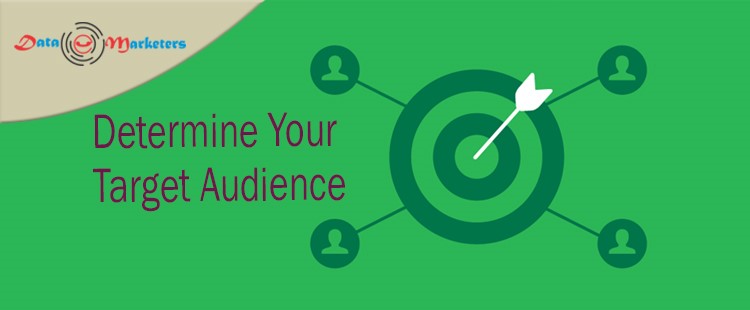 Determine Your Target Audience | Data Marketers Group