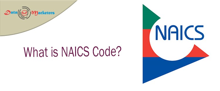 What is NAICS Code | Data Marketers Group