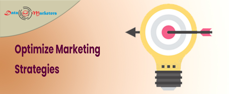 Optimize Marketing Strategies | Data Marketers Group