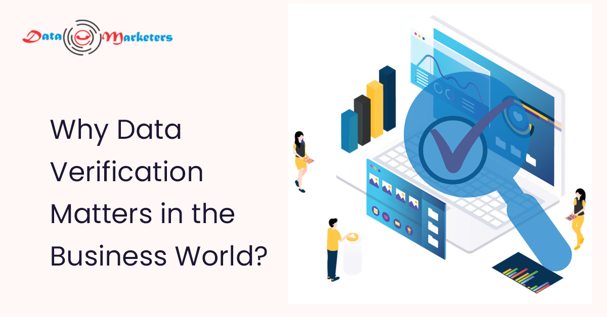 Why Data Verification Matters In The Business World | Data Marketers Group